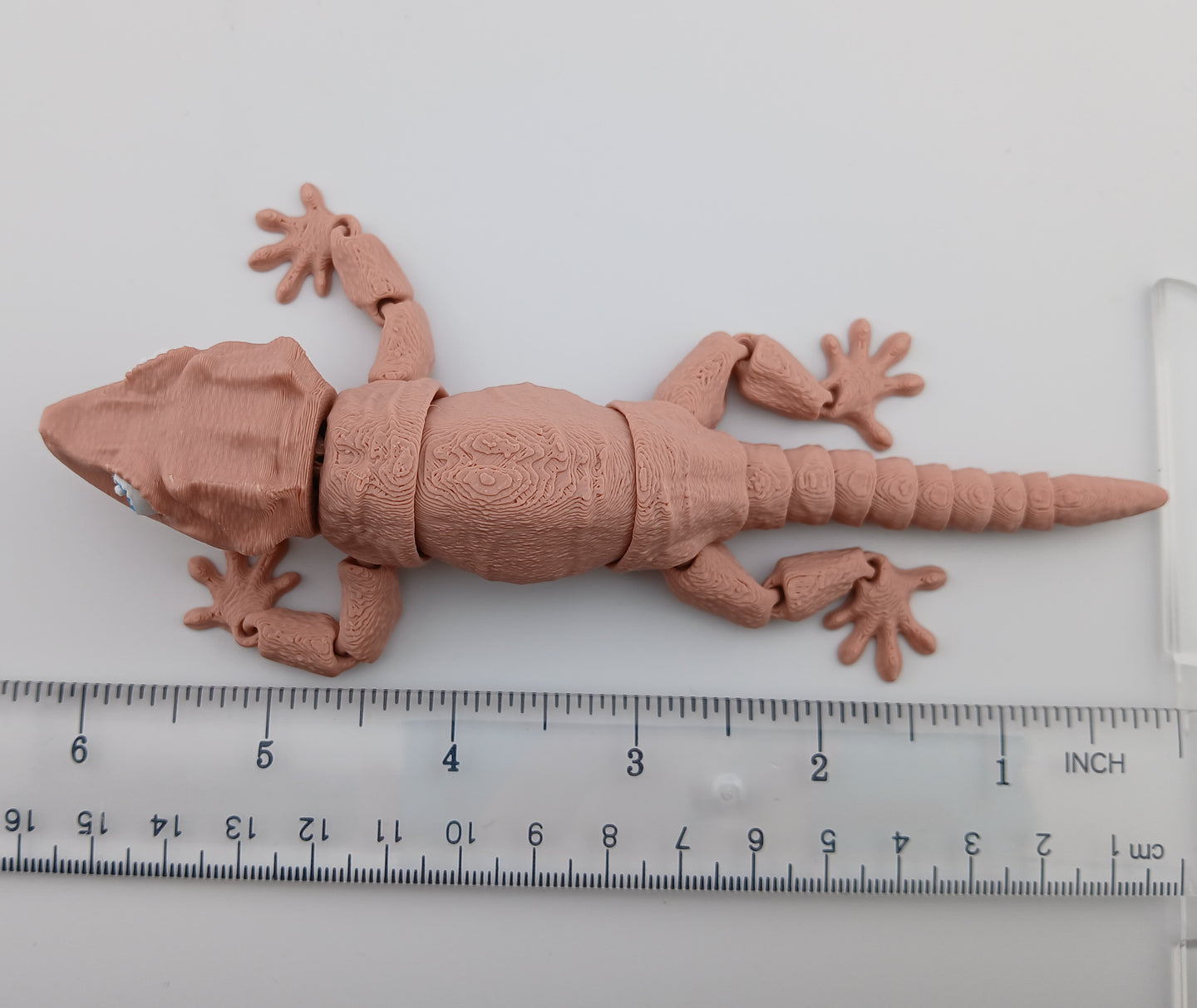 Gargoyle Gecko